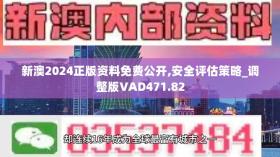 2024新澳精准资料免费下载及实证解读-图8