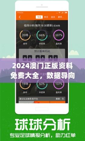 2024澳门正版精准免费大全,灵活执行策略_9DM32.283-图6