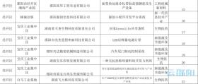 澳门三肖三码精准100%黄大仙,可行性方案评估_GM版31.195