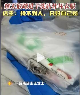 窜天猴飞入干洗店致惨重损失-图5